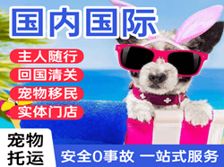 东郊机场货运国际宠物托运 【国